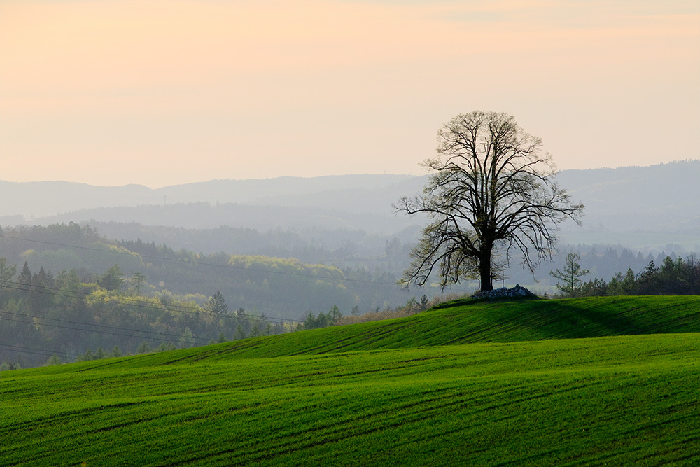 Benešovsko a Sedlčansko