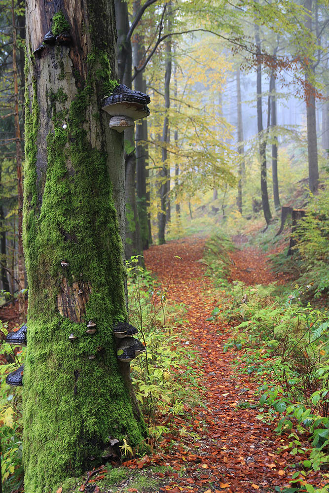 Krušné hory, plavební kanál Klingenthal
