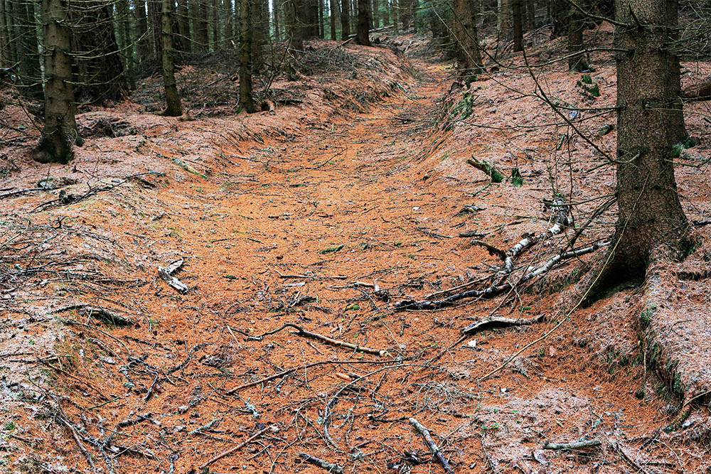 Krušné hory, Loučná (Jindřichovice) – Rotava