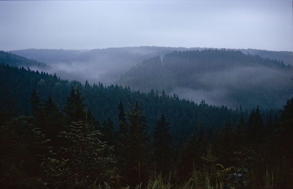 Krušné hory, soumrak, mlha, Loučná (Jindřichovice)