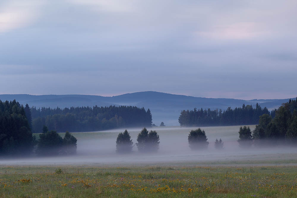 Krušné hory, soumrak, mlha, Loučná (Jindřichovice)