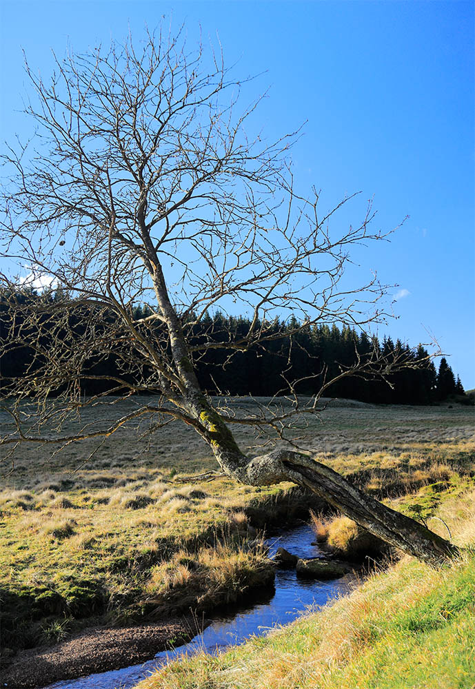 Krušné hory, Černá voda (Slatinný potok), Jelení, Přebuz, Nové Hamry