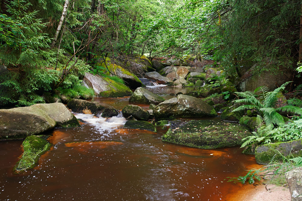 Krušné hory, Skřiváň, Anenské údolí, Rotava