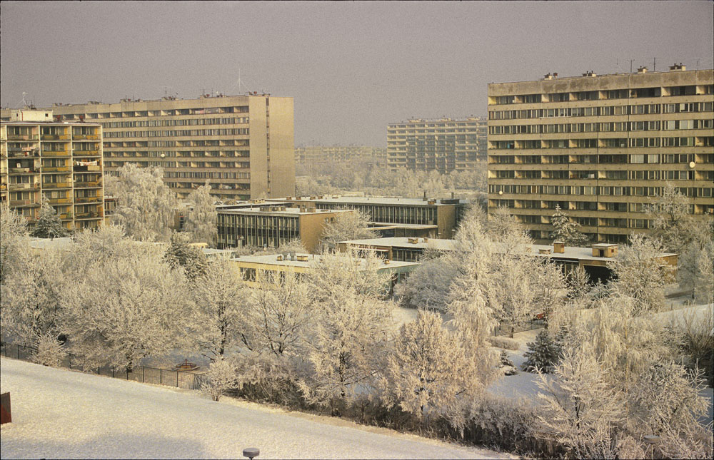 sídliště Prosek, Praha, Vysočanská, zima, sníh