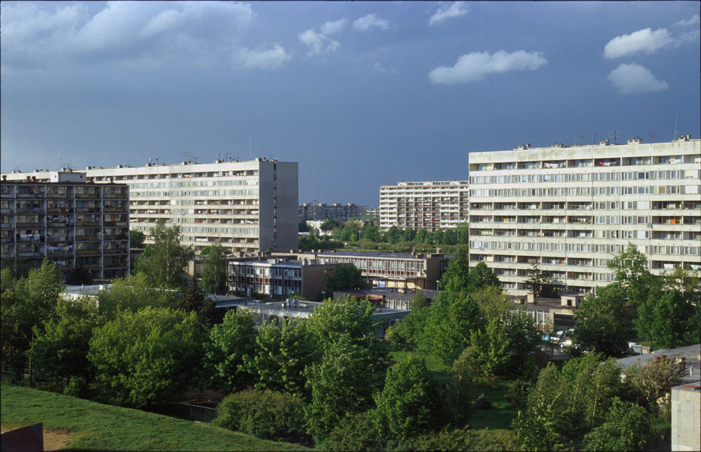 sídliště Prosek, Praha, Vysočanská, stromy, park