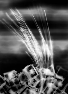 thumbnail of photograph Shadow Drawing